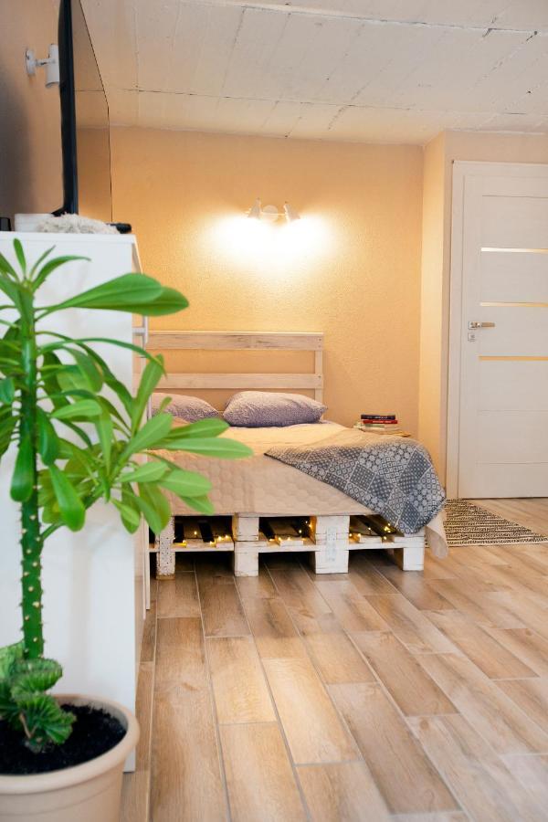 Apartment In Garage With Free Parking Kaunas Luaran gambar